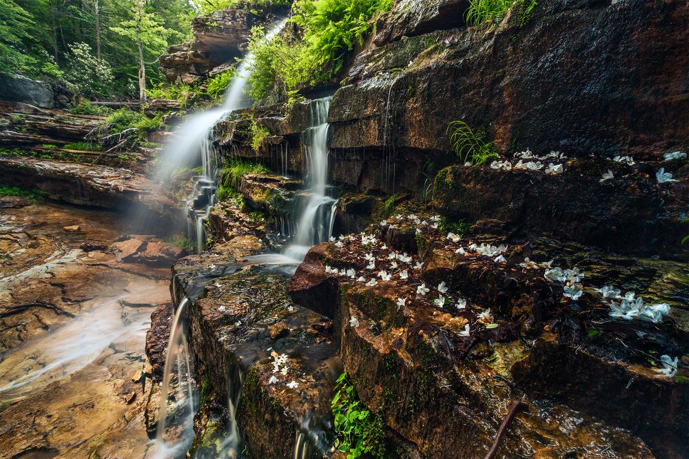 Photograph by Vyacheslav Shausmanov