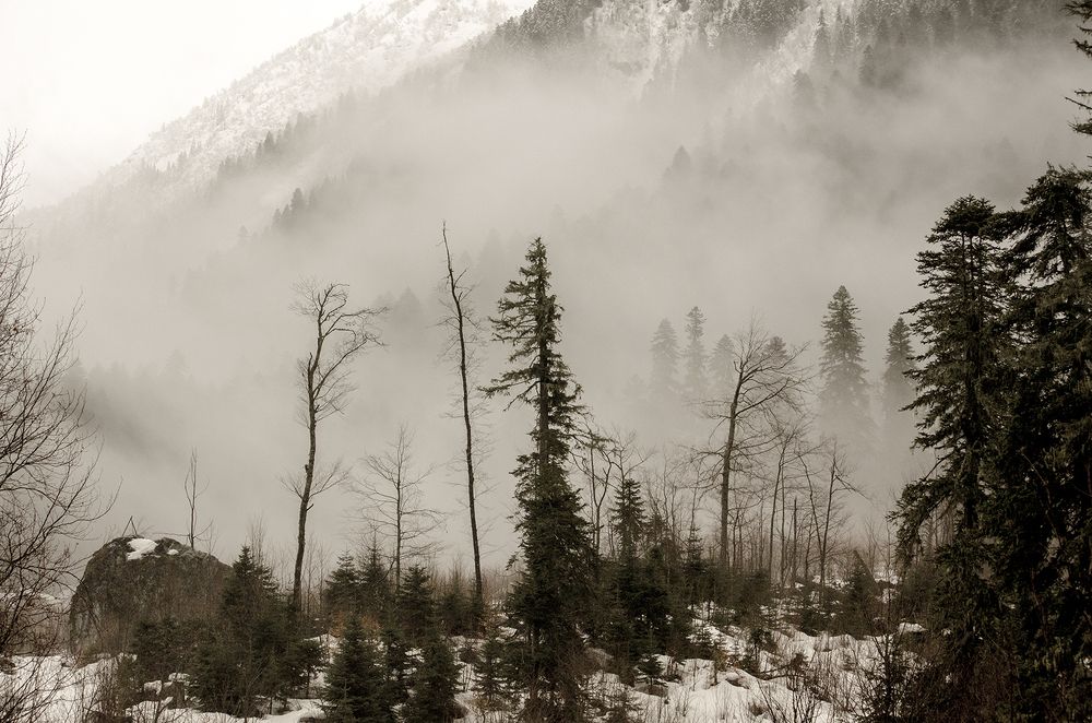Photograph by Юрий Шурыгин