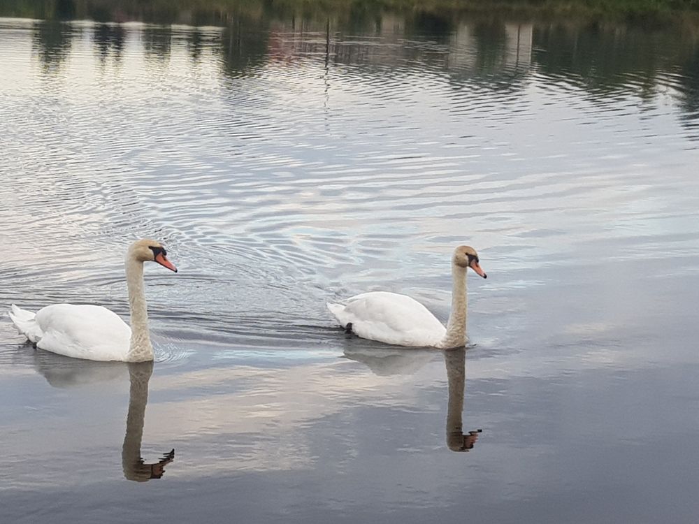 Photograph by Ліана Устимчук