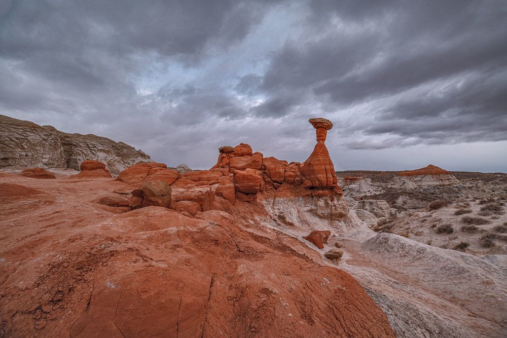 Фотография автора andrey gagarin