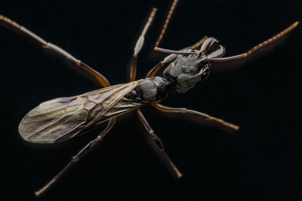 Photograph by Judá Isaí Martínez Uribe