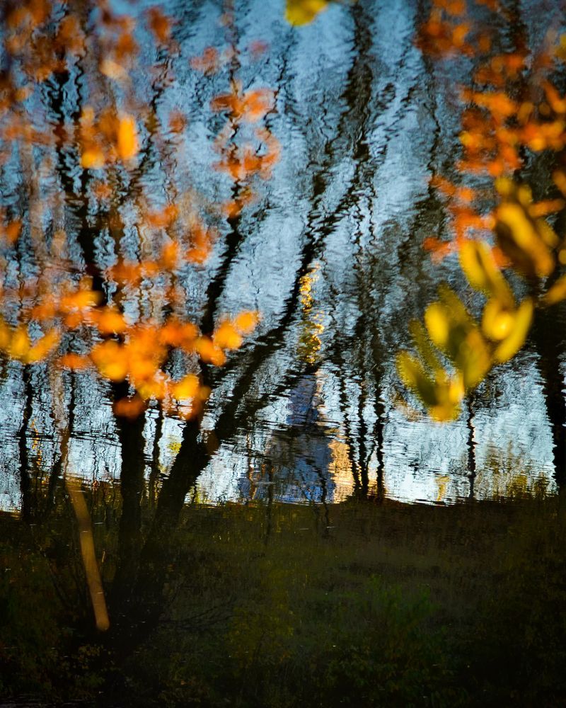 Photograph by Дарья Маркина