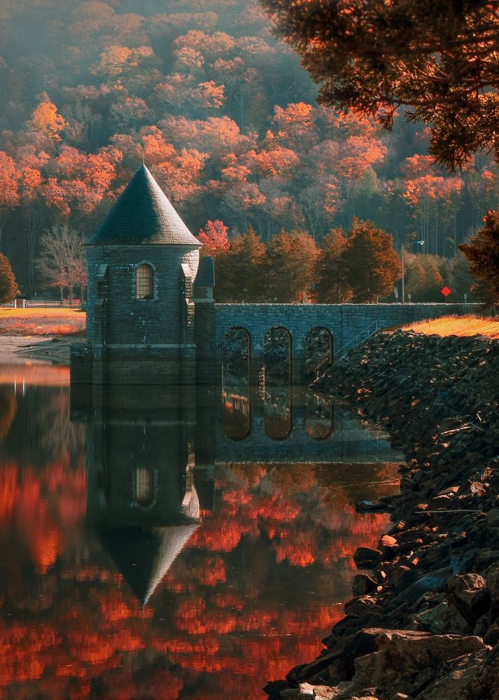 Photograph by Gargee Chowdhury