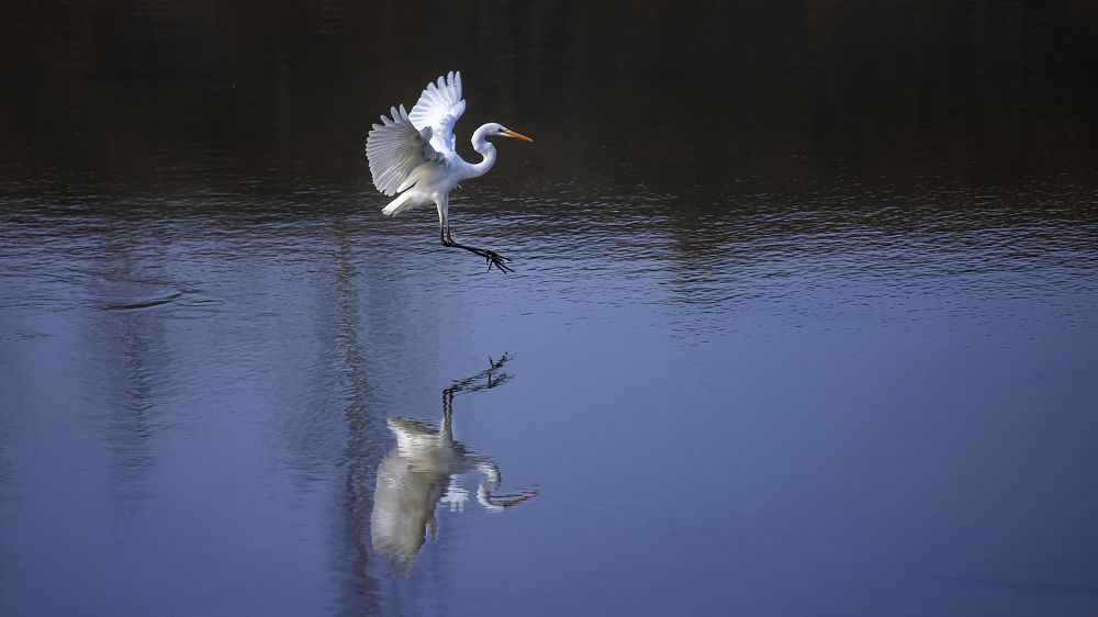 Photograph by Анкудинов Максим
