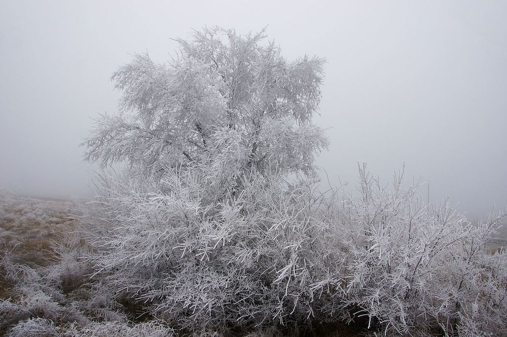 Photograph by Евгений Киселев