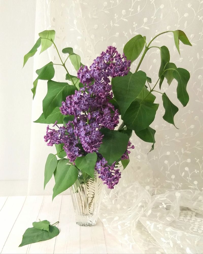 Photograph by Лейсан