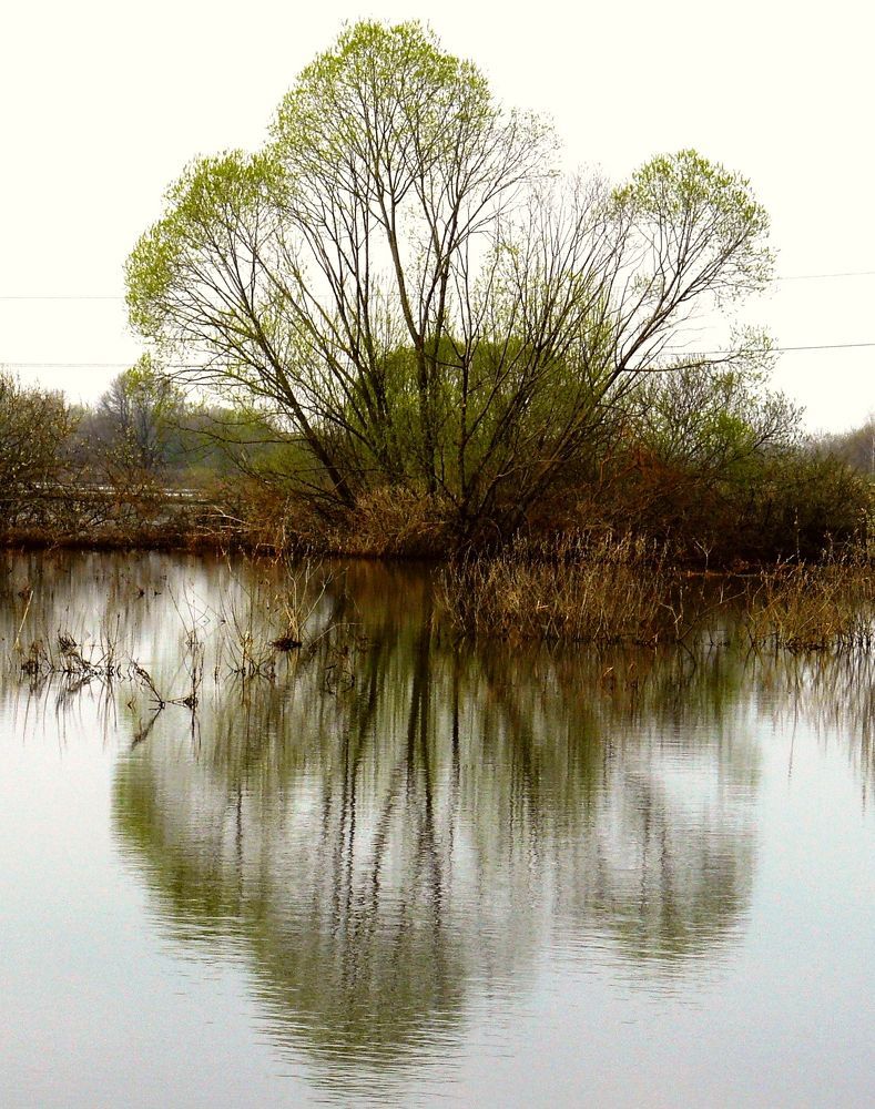 Photograph by леонид натапов