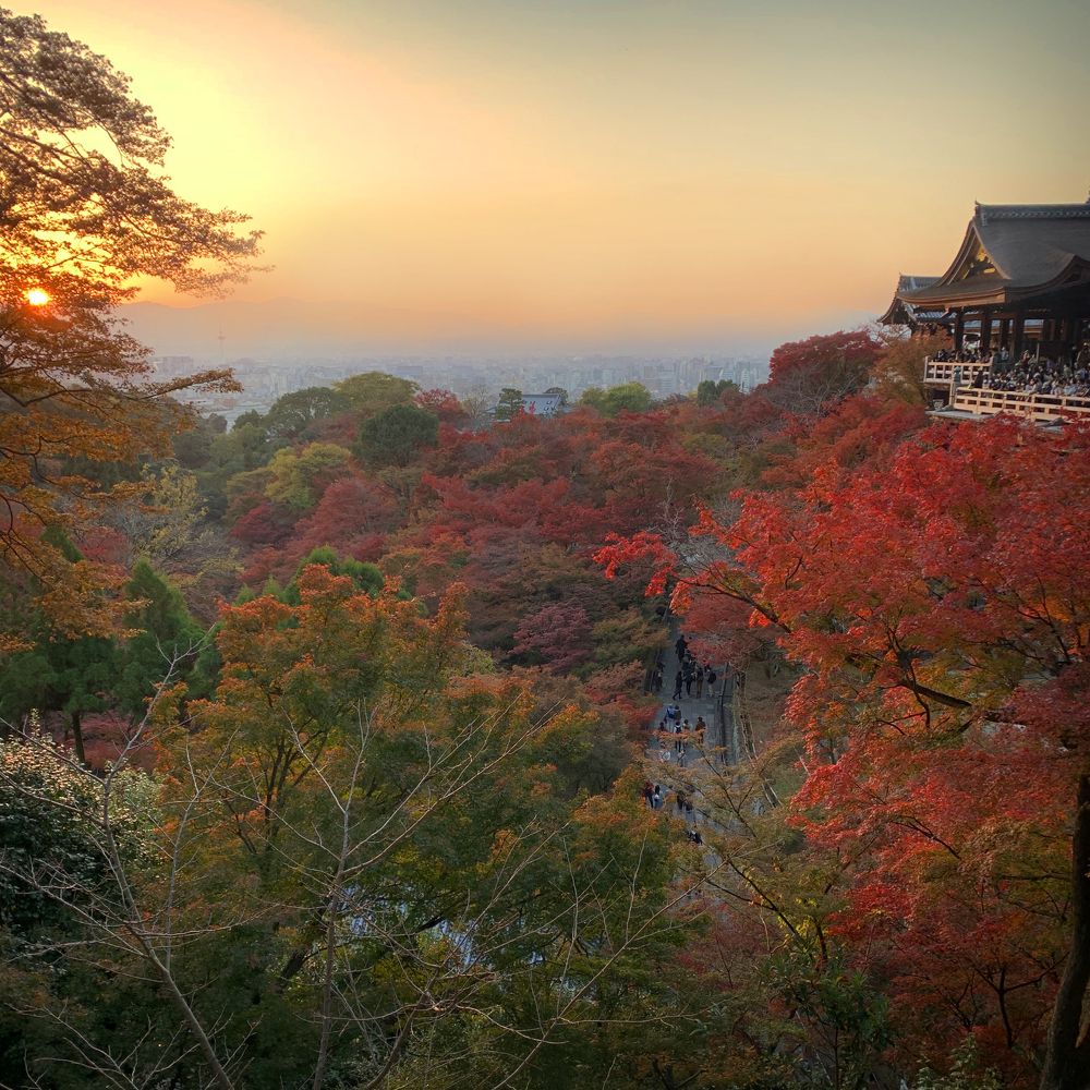 Photograph by mypure heart