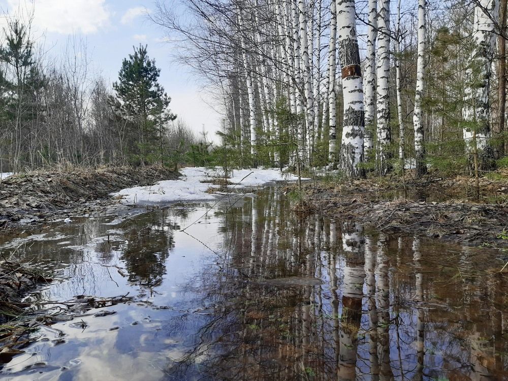 Photograph by Наталья Ченчикова