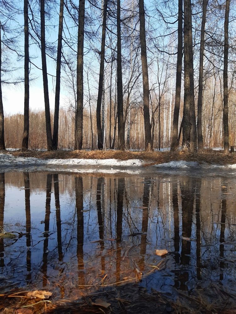 Photograph by Наталья Ченчикова