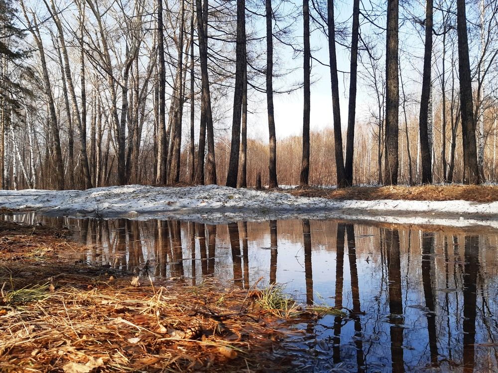 Photograph by Наталья Ченчикова