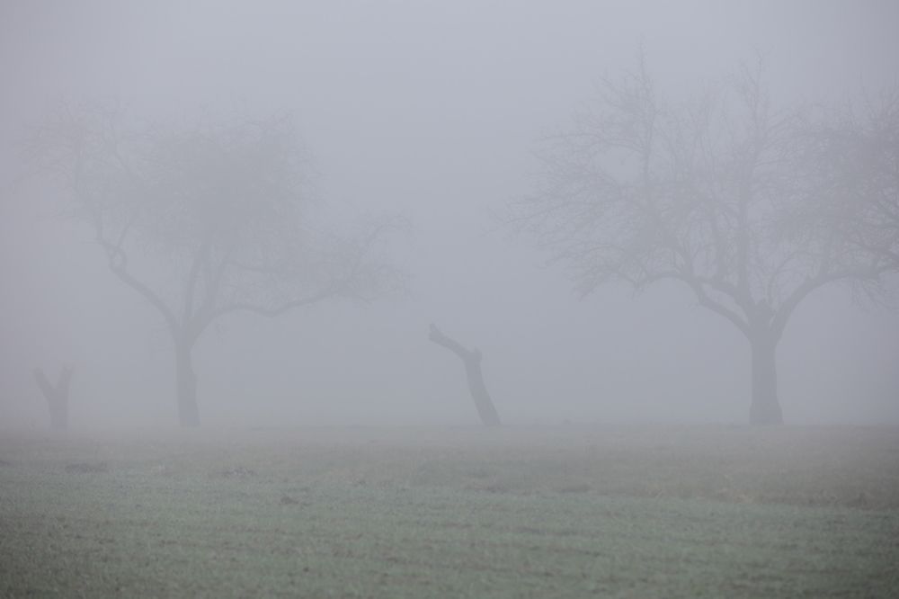 Фотография автора Andrzej