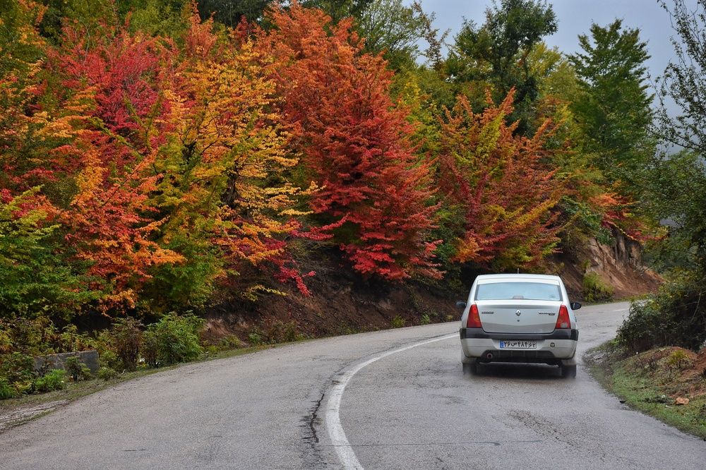 Photograph by seyyed mohammad andy