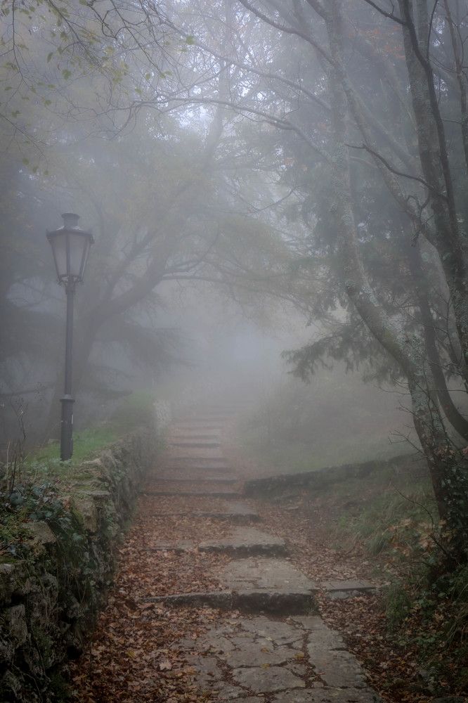 Photograph by Таймураз Гумеров