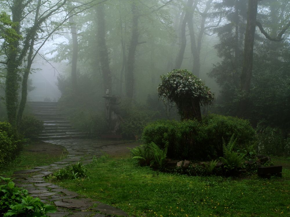 Photograph by Вадим