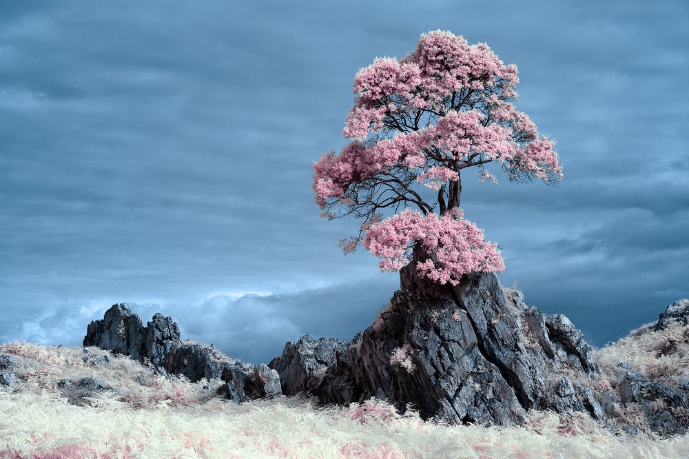 Photograph by Ángel Diego