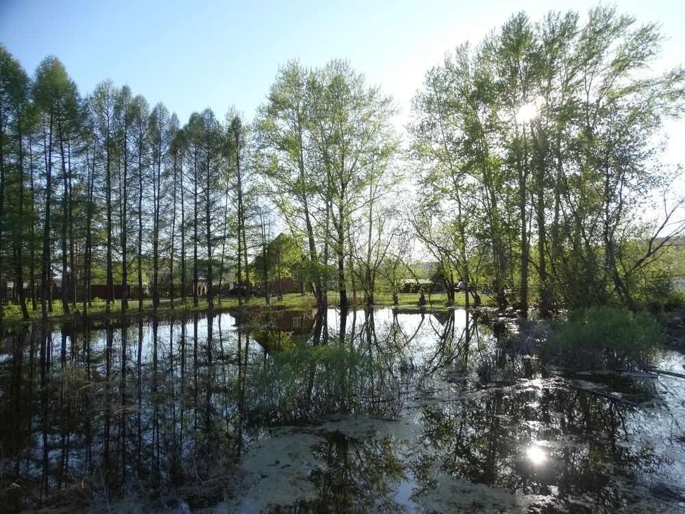 Photograph by Николай Худяков