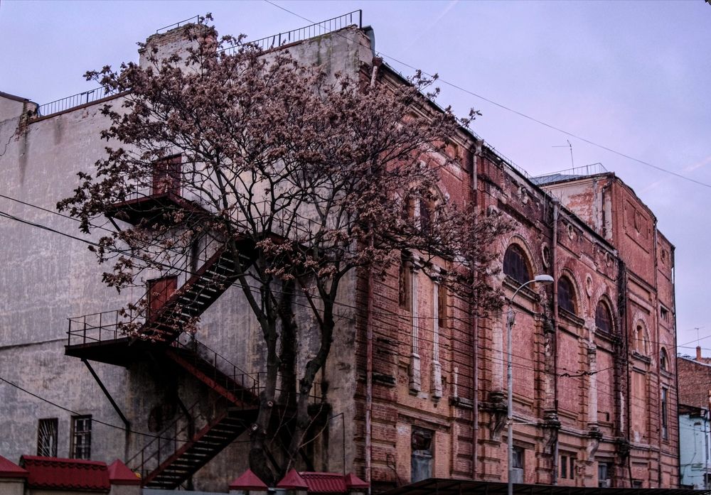Photograph by Евгений Сальный