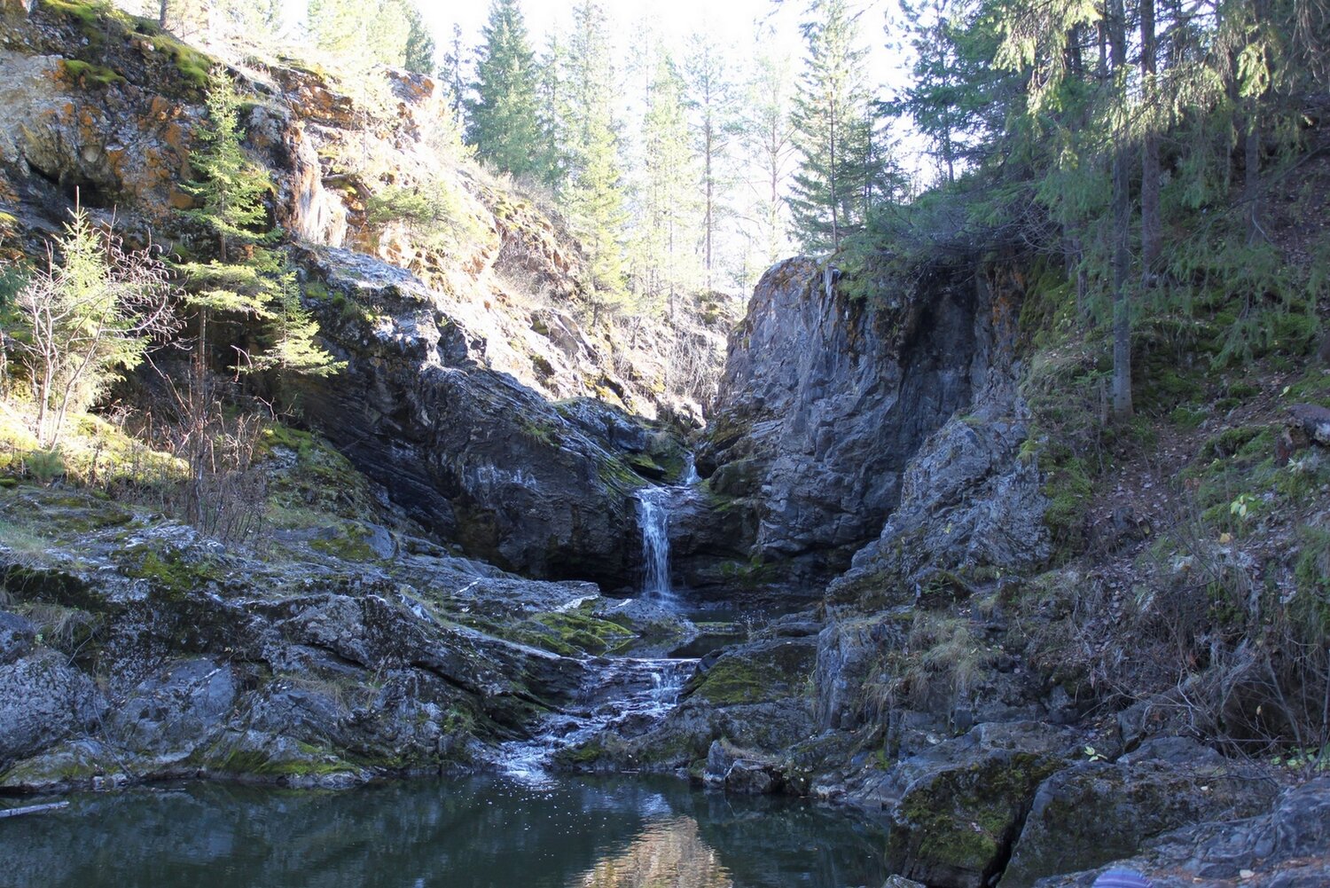 Photo #6856918