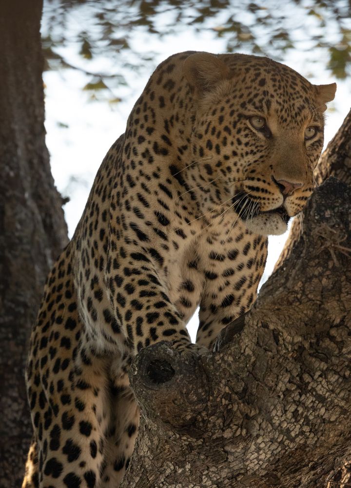 Photograph by Raquel Barao