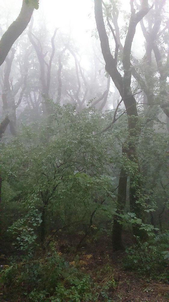 Photograph by Александр