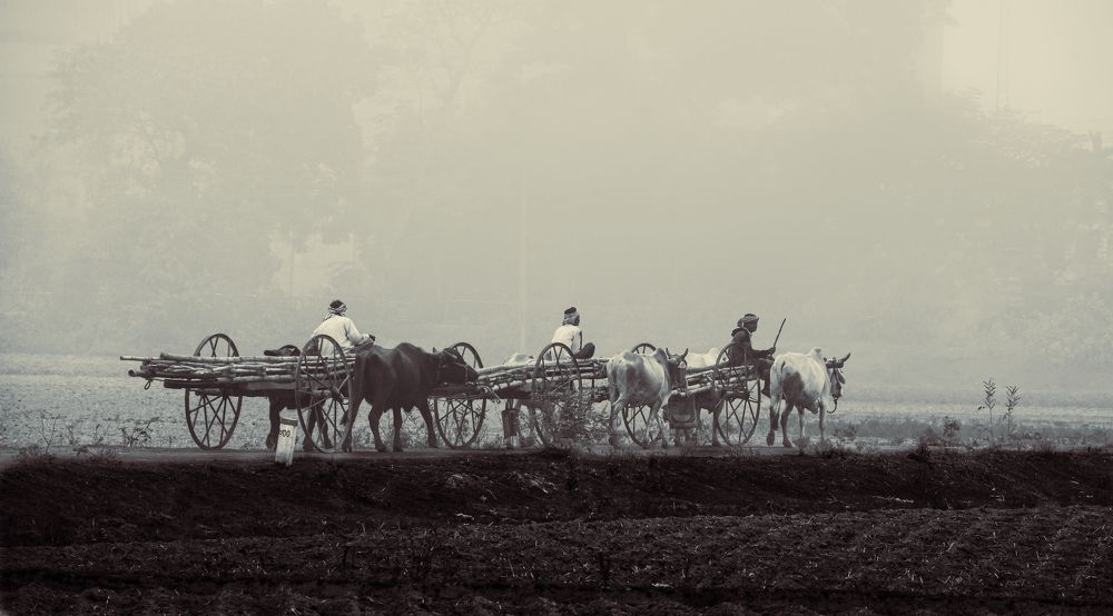 Photograph by Rohit Mazumdar