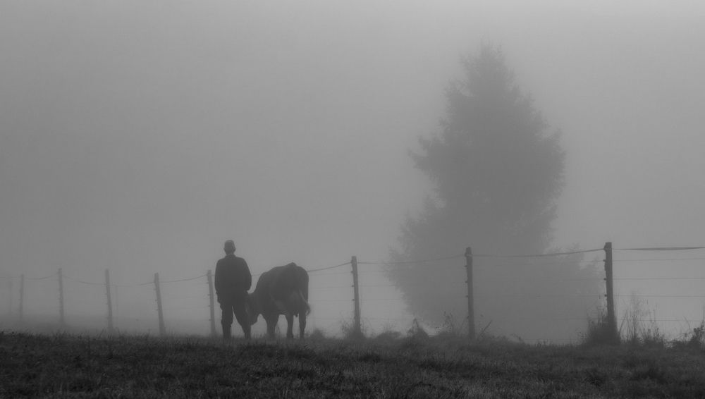 Фотография автора Crespan Terry