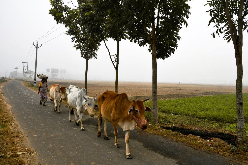 Photograph by Rohit Mazumdar