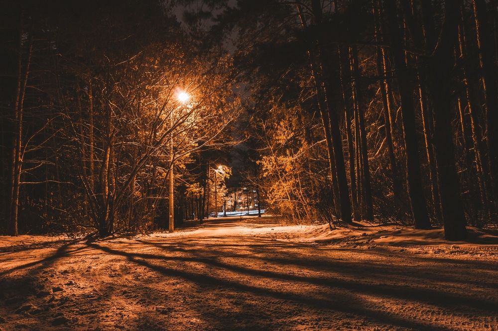 Photograph by Дарья