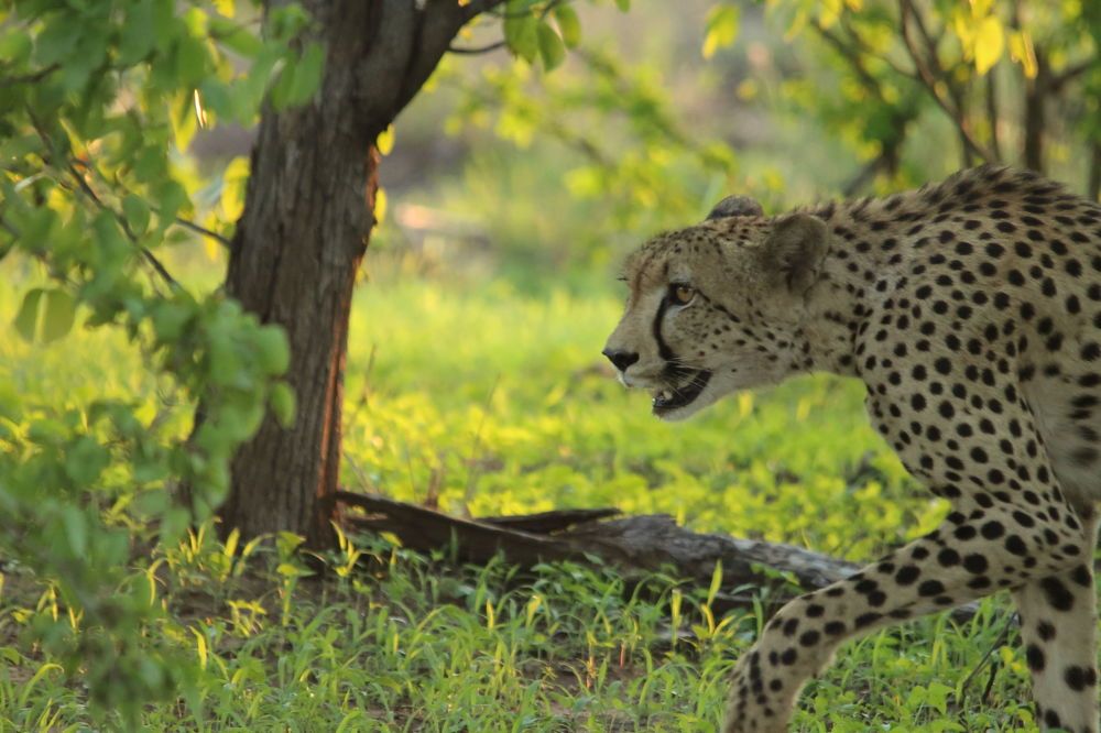 Photograph by Ken Stavrou