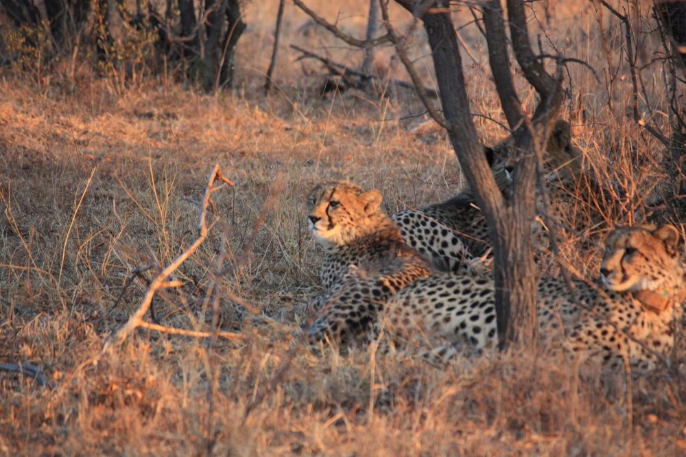 Photograph by Ken Stavrou