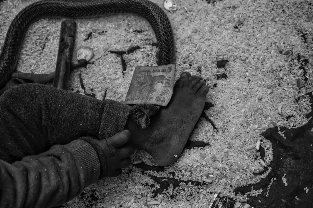 Photograph by Patel Mohit