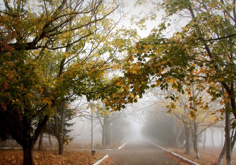 Photograph by Михаил Малец