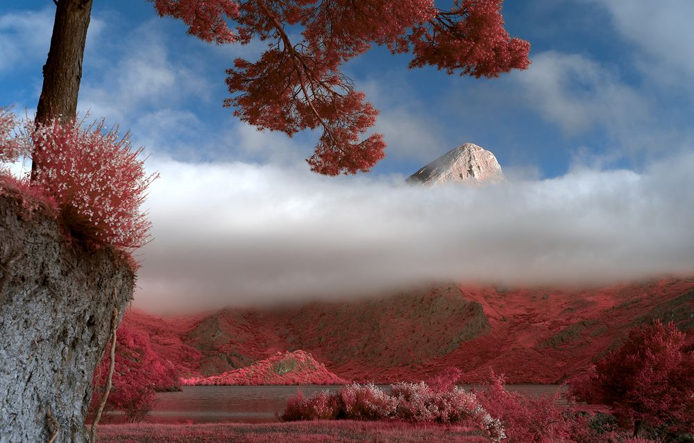 Photograph by Ángel Diego