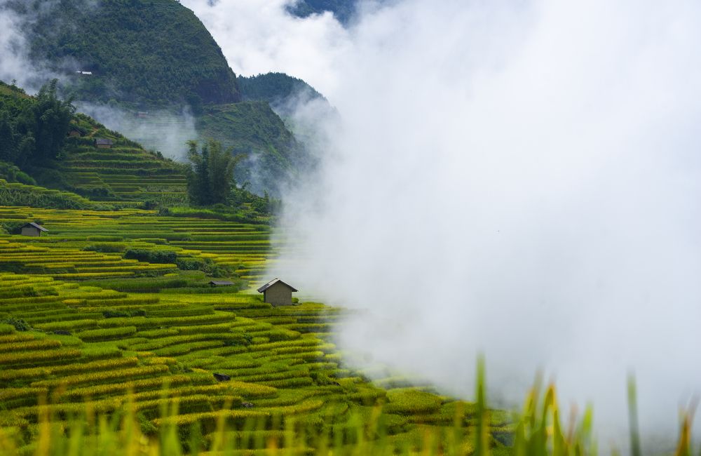 Photograph by NGUYEN THANH HAI