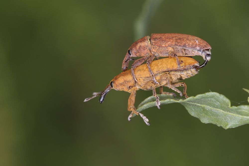 Photograph by Yakup Temel