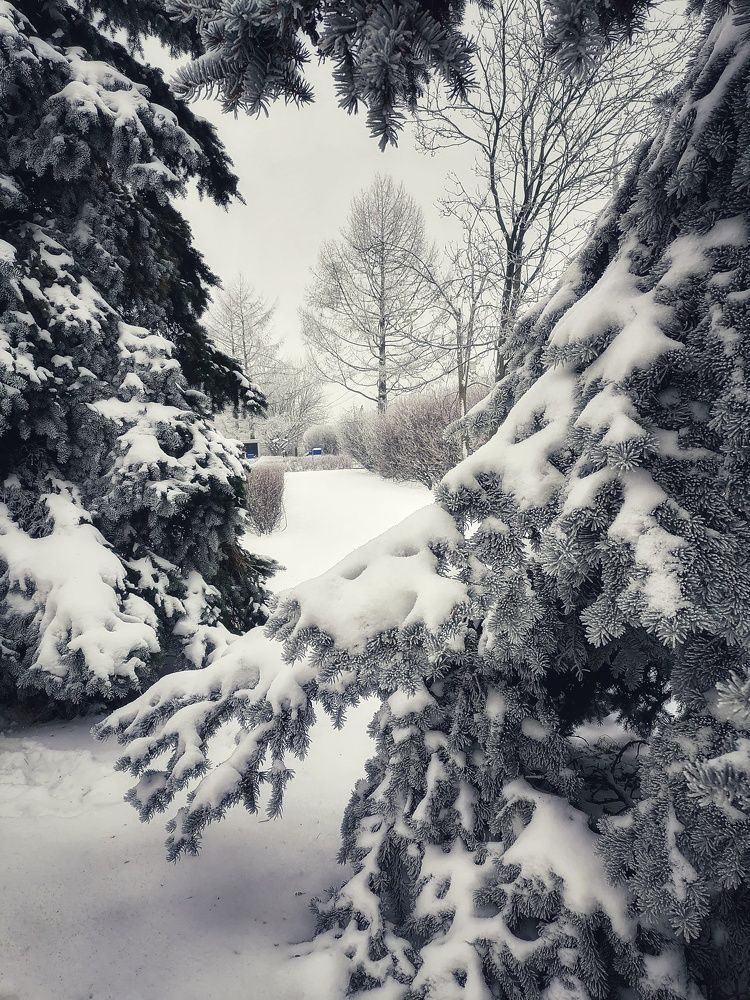 Photograph by Лилия Багдасарова