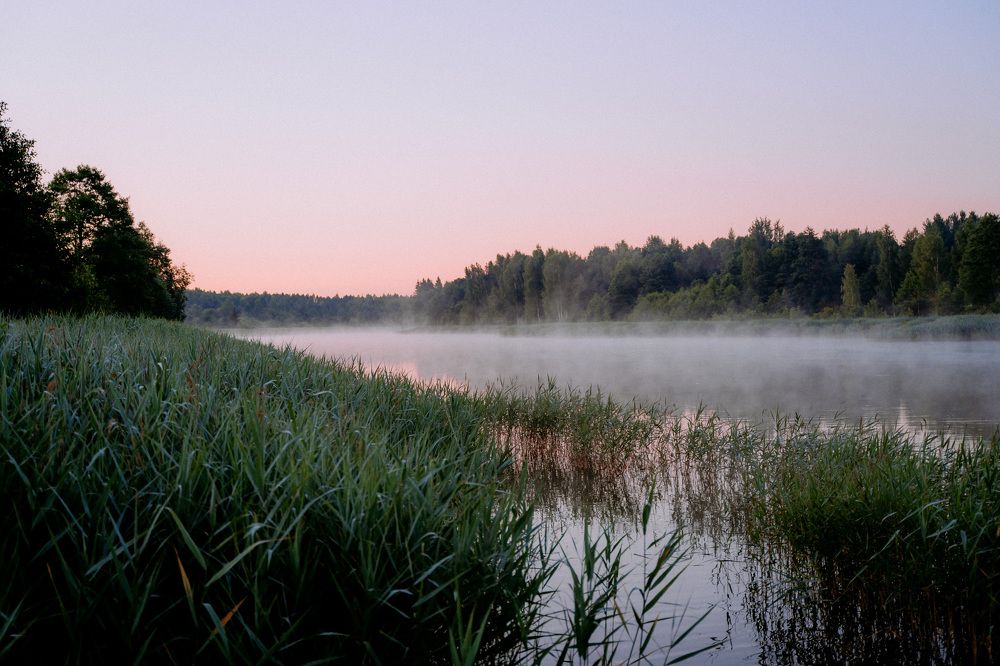 Photograph by Александра Орлова