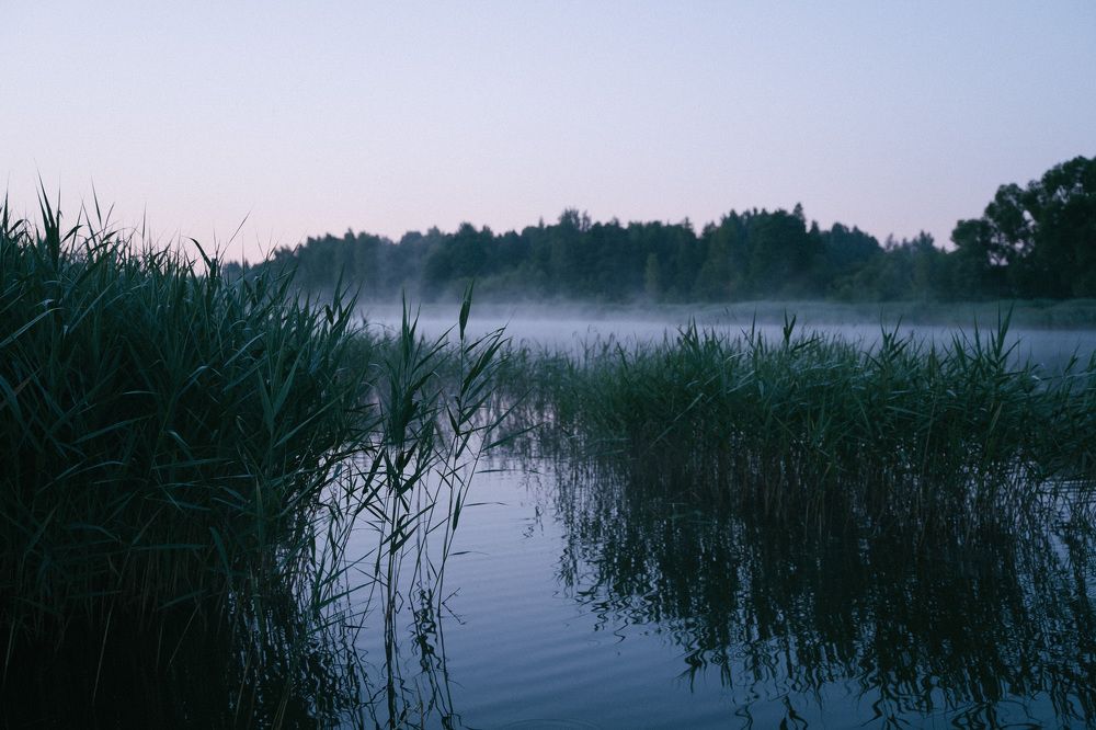 Photograph by Александра Орлова