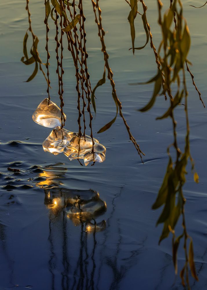 Photograph by Ольга Мусиенко