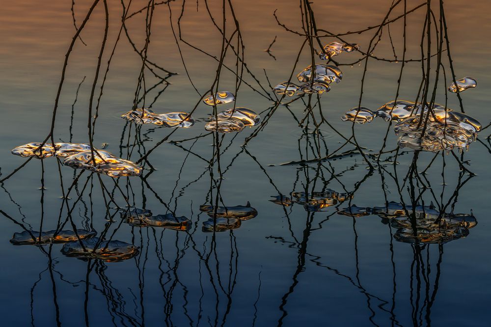 Photograph by Ольга Мусиенко