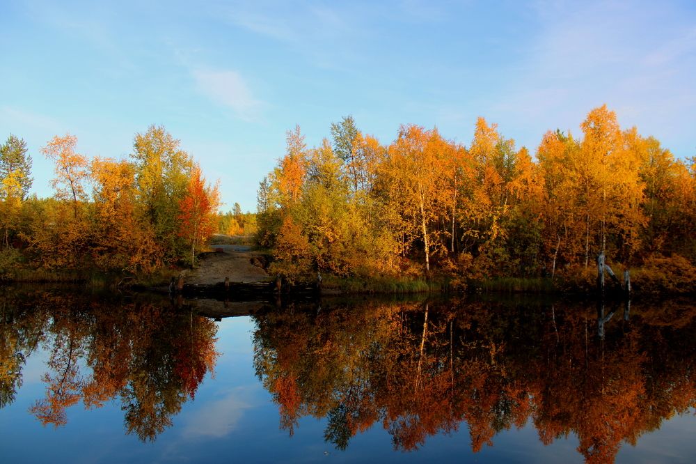 Photograph by Ирина Чечкина