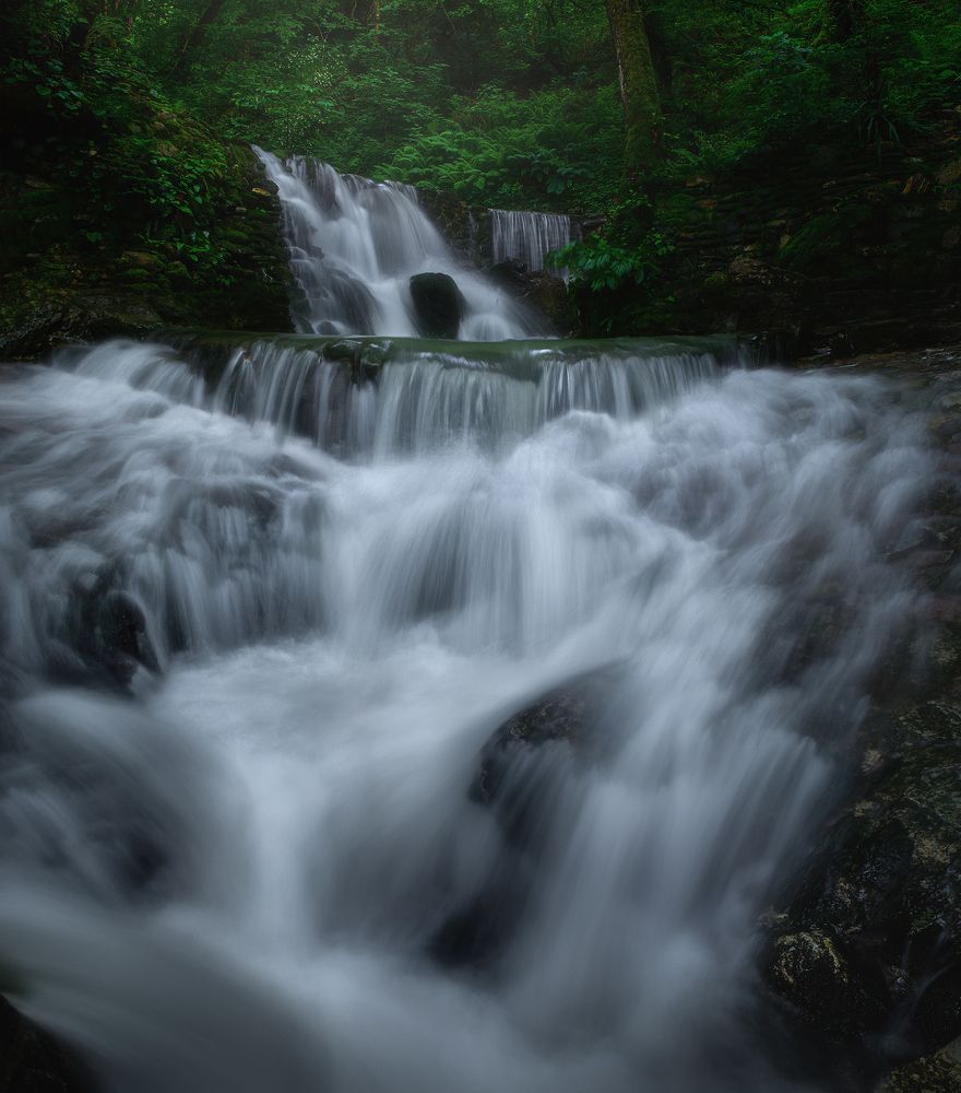 Фотография автора Алексей Чешко