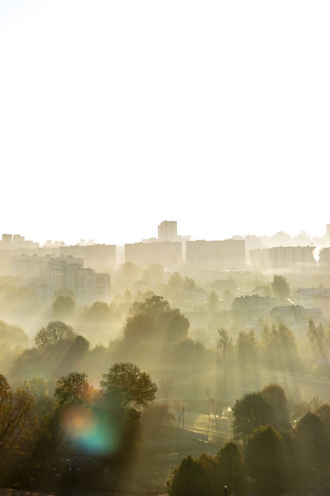 Фотография автора Ольга Войтехович