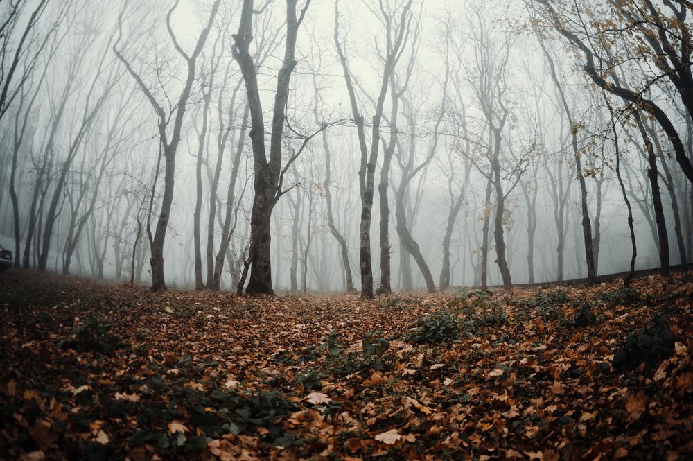 Photograph by Илья Максимов