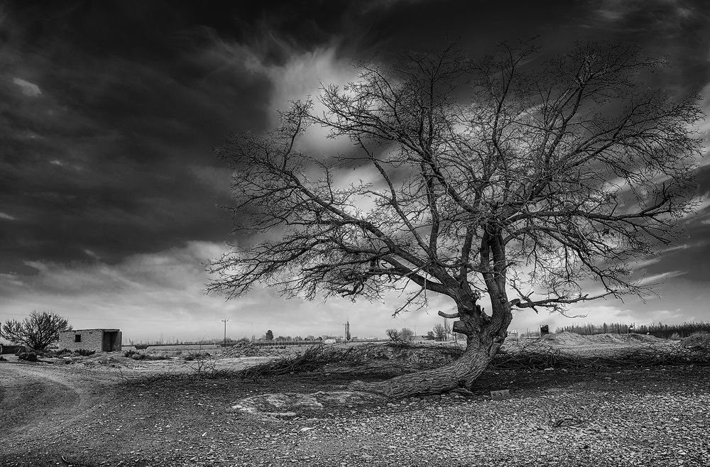 Photograph by Hengameh pirooz