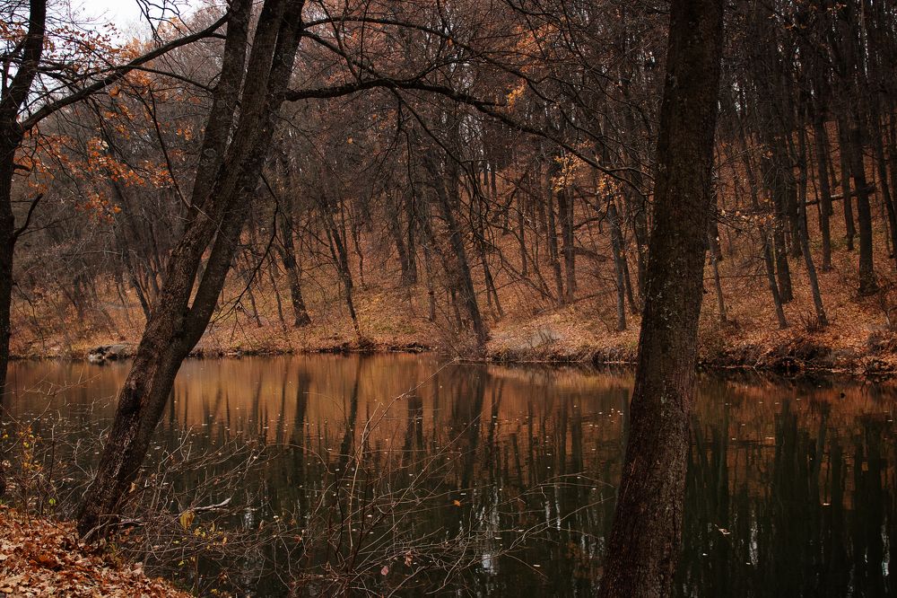 Photograph by Надежда Ржевская