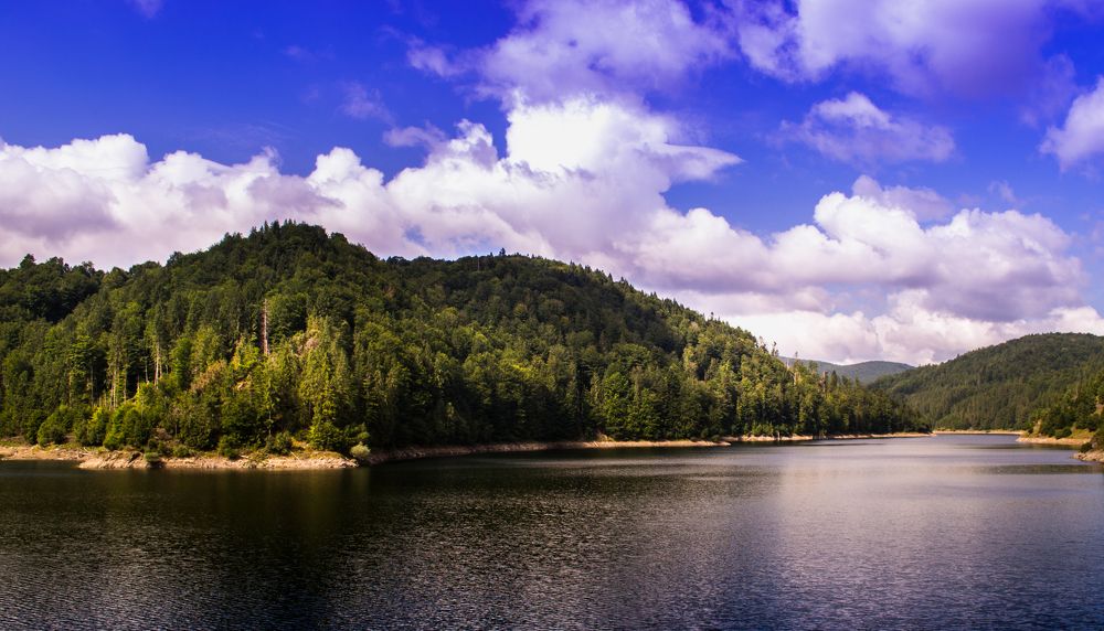 Photograph by Kecskés Beáta