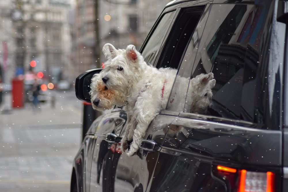 Photograph by Luiza Khisamutdinova