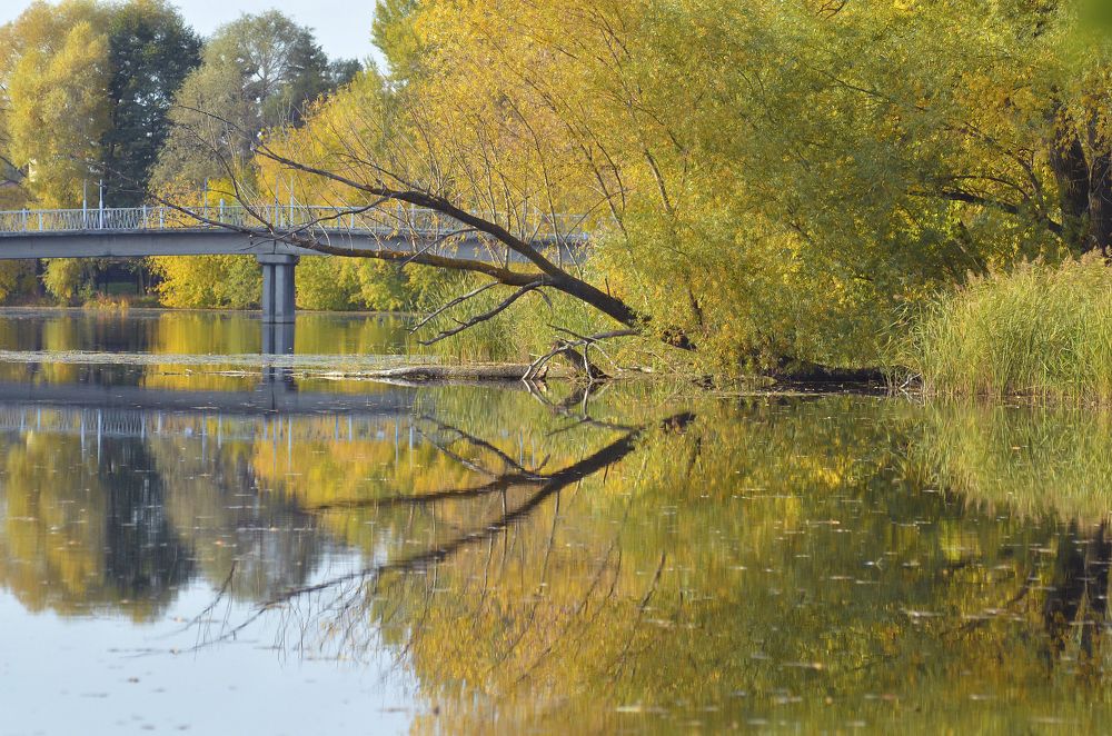 Photograph by Светлана Болотнова